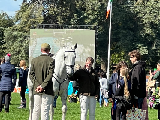 A Wonderful Week at Blenheim Palace: Celebrating Art, Connections, and Upcoming Creations