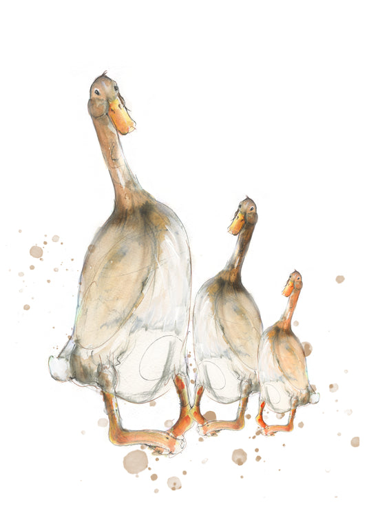 Framed Print the Willow Family Runner Ducks image 1