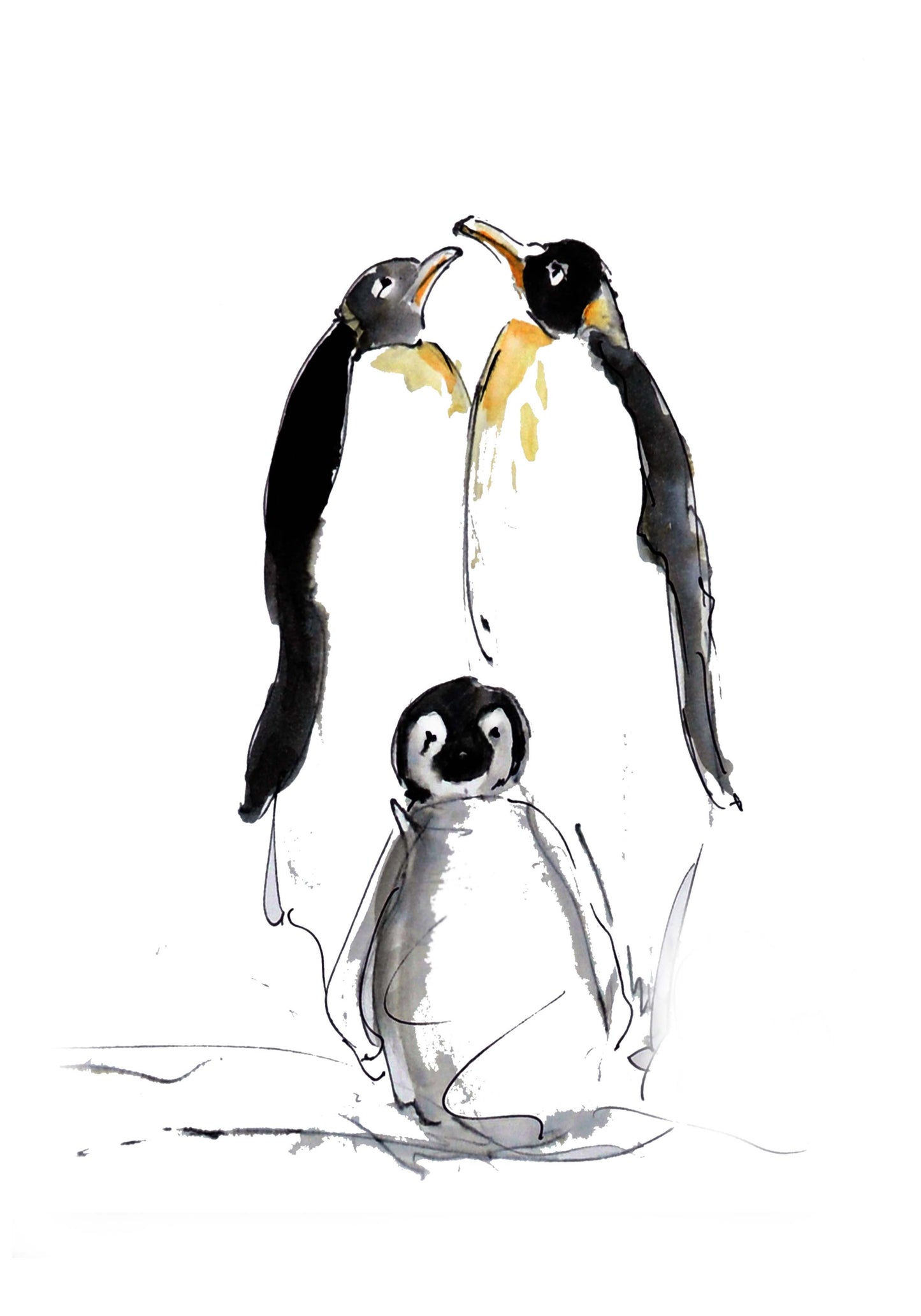 Framed Print Vicky Albert and Granger the Penguins image 1