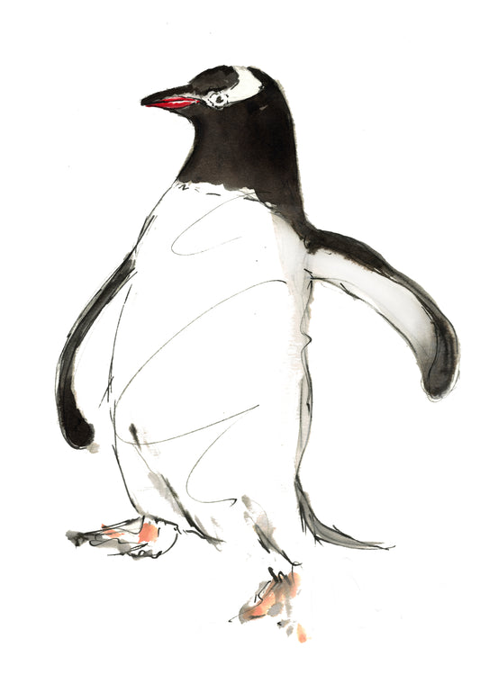 Framed Print Wheezy the Penguin image 1