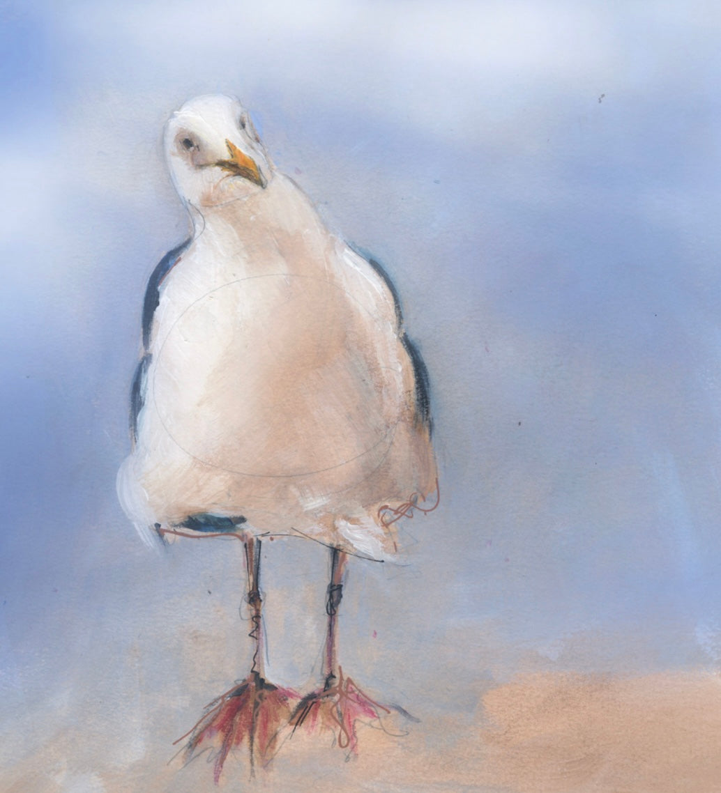 Framed Print Scully the Seagull image 0
