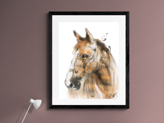 Framed Print Cookie the Horse image 1