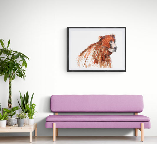 Framed Print Adam the Bear image 2