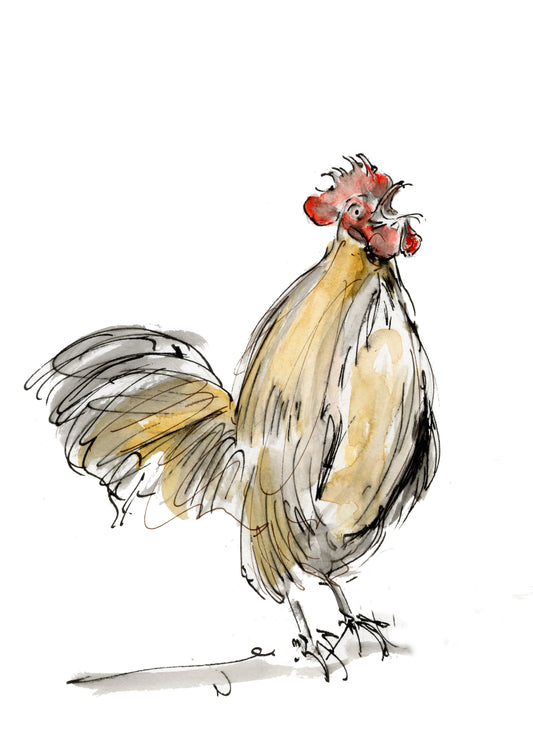 Framed Print Gregory the Cockerel image 1