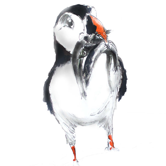 Framed Print Patrick the Puffin image 1