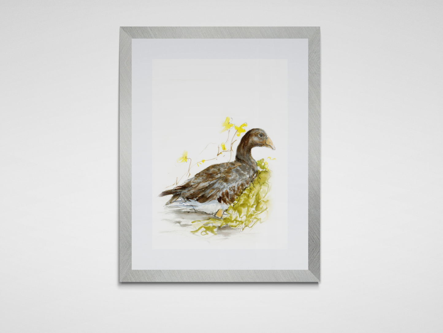 Framed Print Faye the Goose image 0