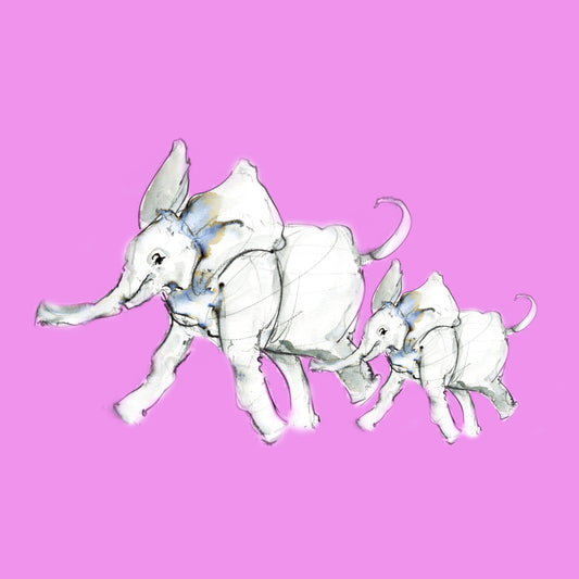 Framed Canvas Elephants Elmer and Emily image 1