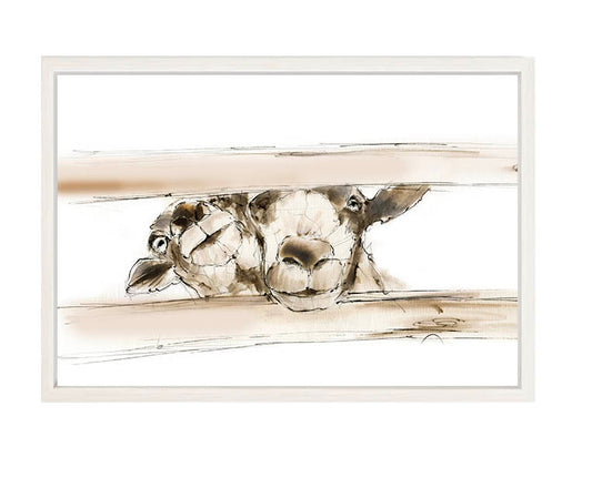 Limited Edition Canvas Print Lilly and Bonnie Rare Breed Sheep image 1