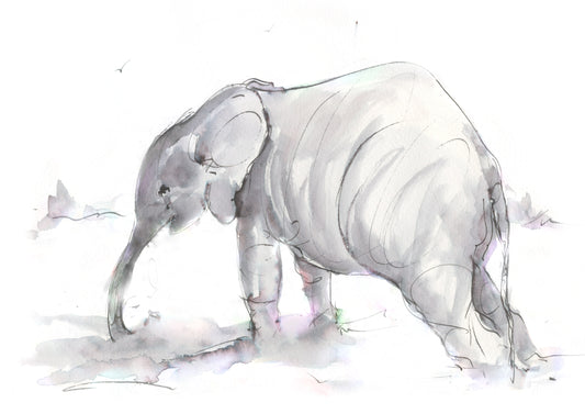 Framed Print Ellie the Elephant image 1