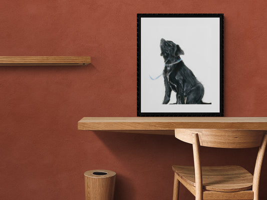 Framed Print Isobel the Labrador image 2