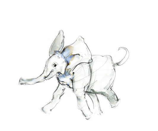 Framed Print Elmer the Elephant image 1