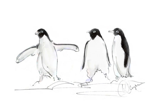 Framed Print Penguins Ezra Tyler & Carson image 1