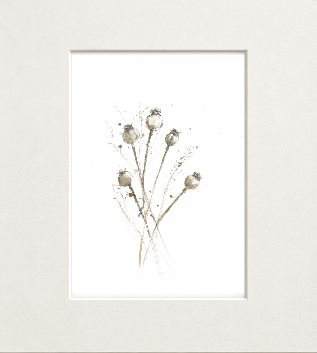 Poppy Seed Heads – Botanical Fine Art Print
