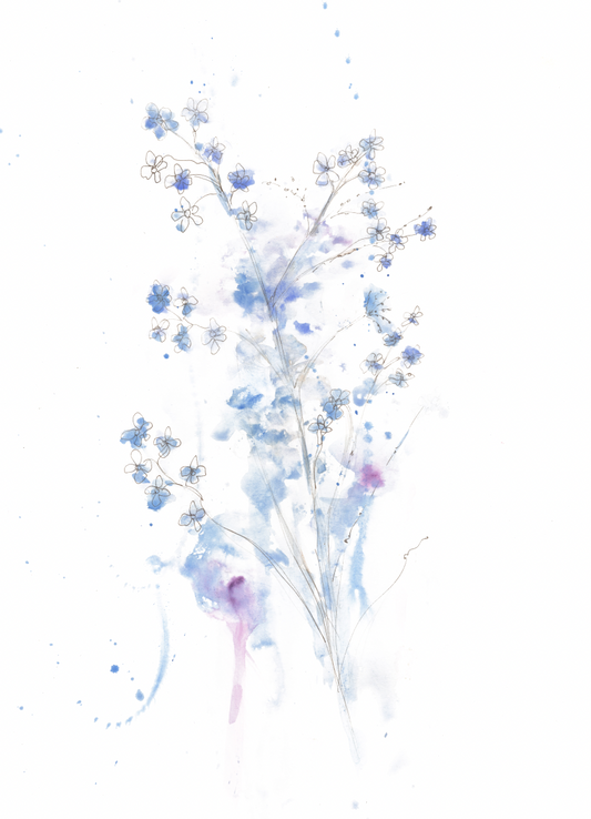 Forget-Me-Nots – Contemporary Floral Fine Art Print
