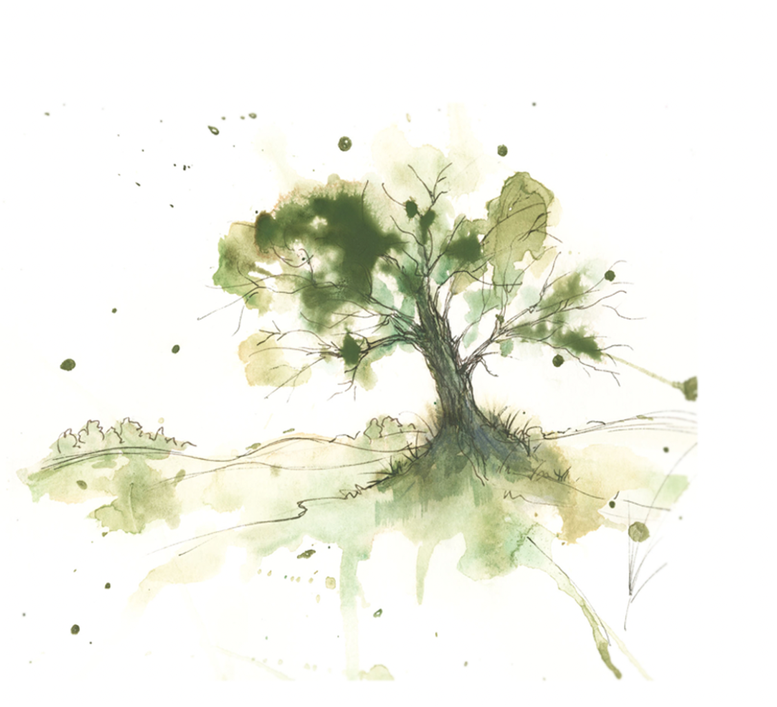 Green Landscape