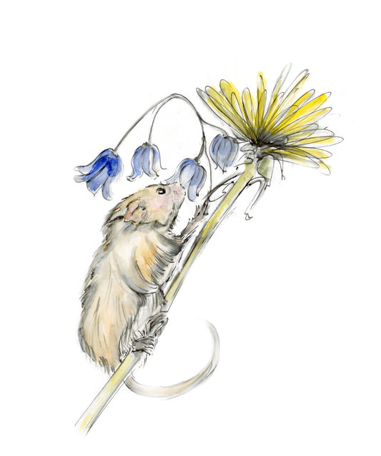 Framed Print Buttercup the Mouse image 1