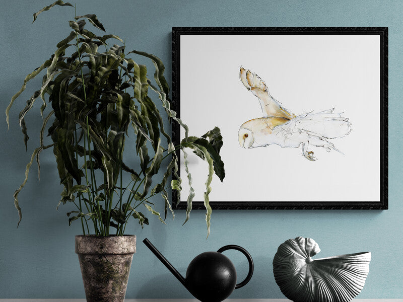 Framed Print Flight of the Barn Owl 1 image 3