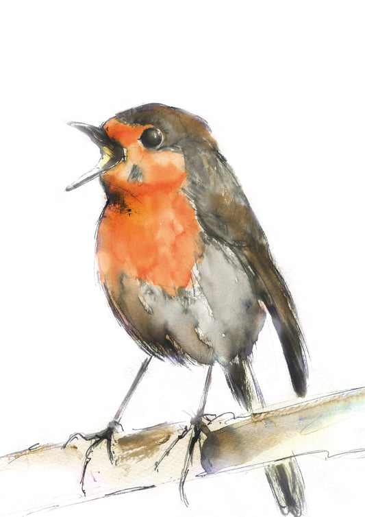 Framed Print Rupert Robin image 1