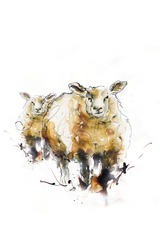 Framed Dolly and Daisy Welsh Woolly Sheep image 1