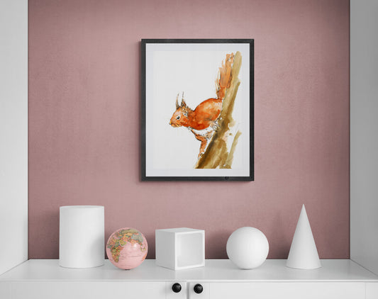 Framed Print Hanna the Squirrel image 2