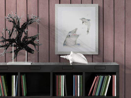 Framed Print Fin and Flipper the Dolphins image 1