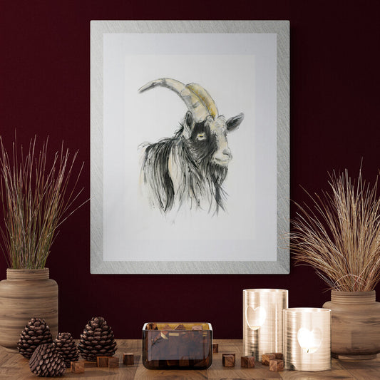 "Gareth the Welsh Mountain Goat"