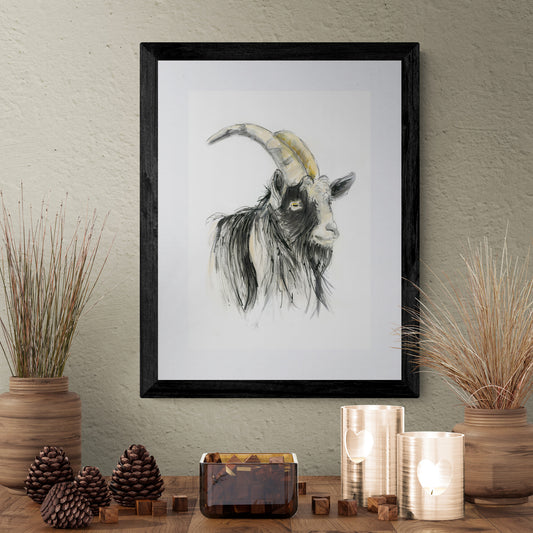 "Gareth the Welsh Mountain Goat"