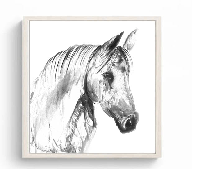 Limited Edition Square Canvas Print Emma the Horse image 2