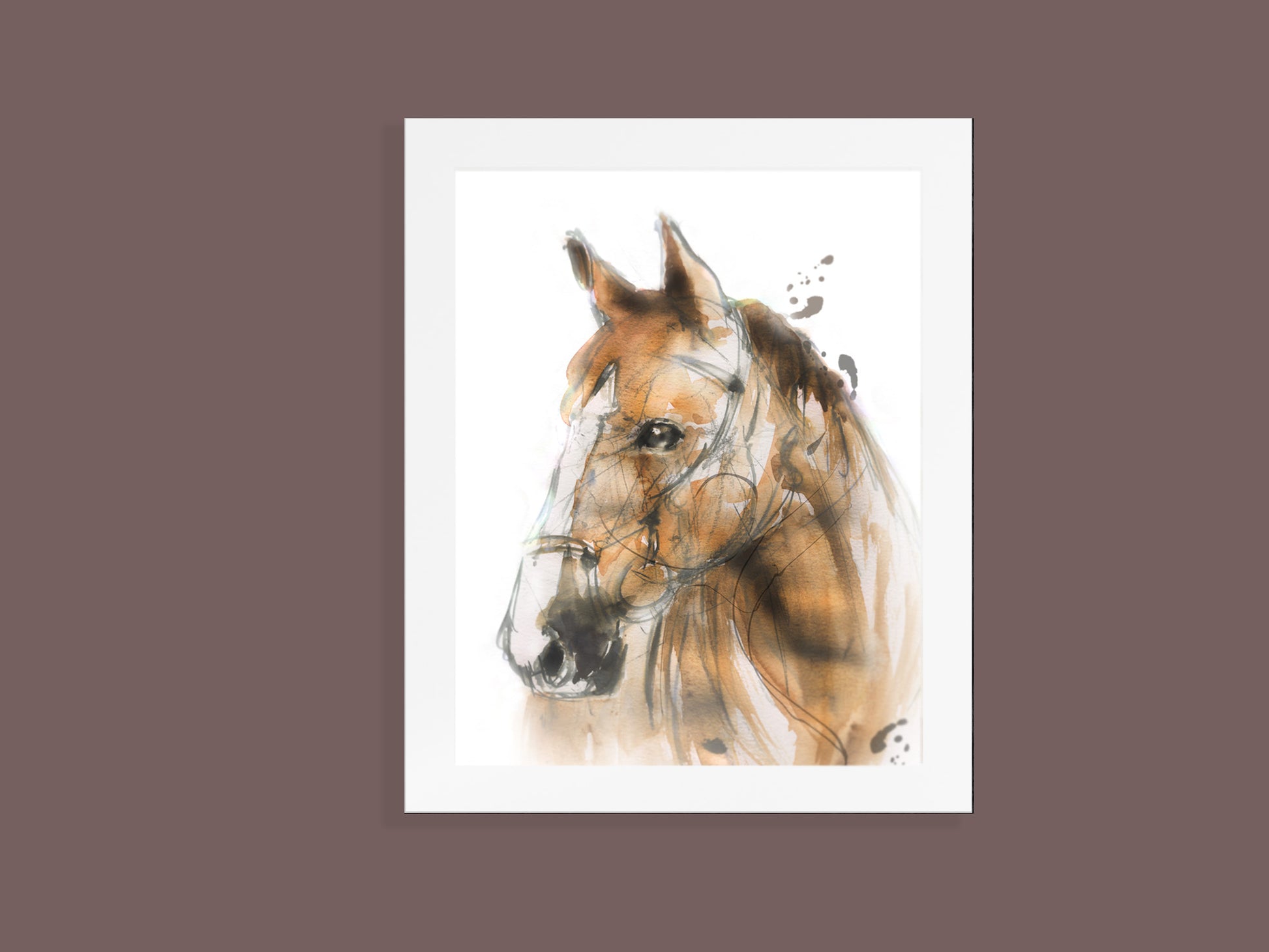 Framed Print Cookie the Horse image 4