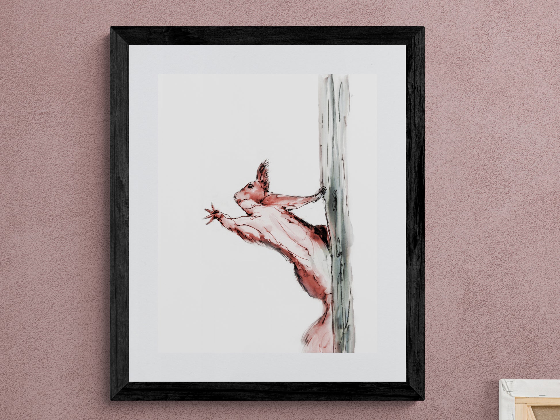 Framed Print Squirrel Nancy image 0