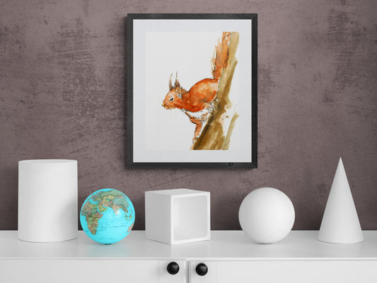 Framed Print Hanna the Squirrel image 0
