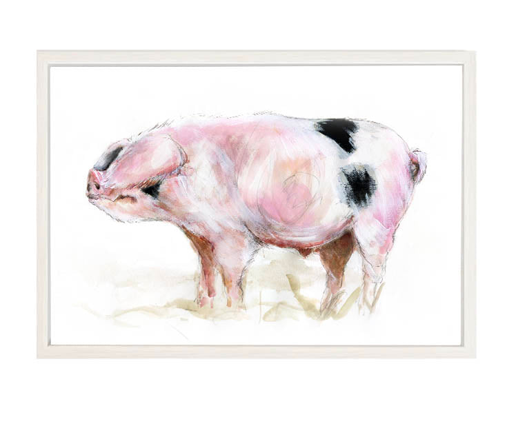 Limited Edition Canvas Print Freddy the Gloucester Old Spot Pig image 2