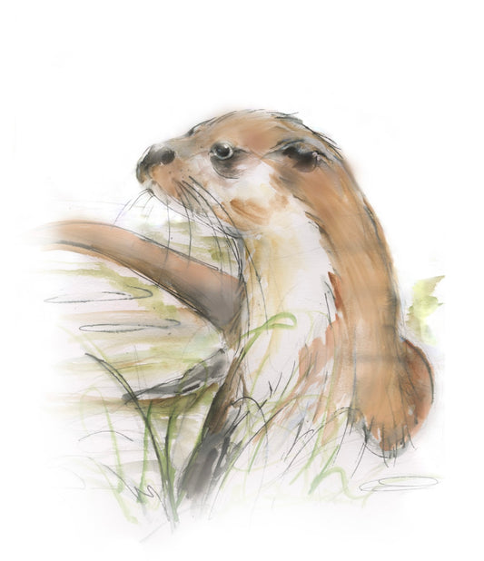 Greeting Card Oakley the Seal image 0