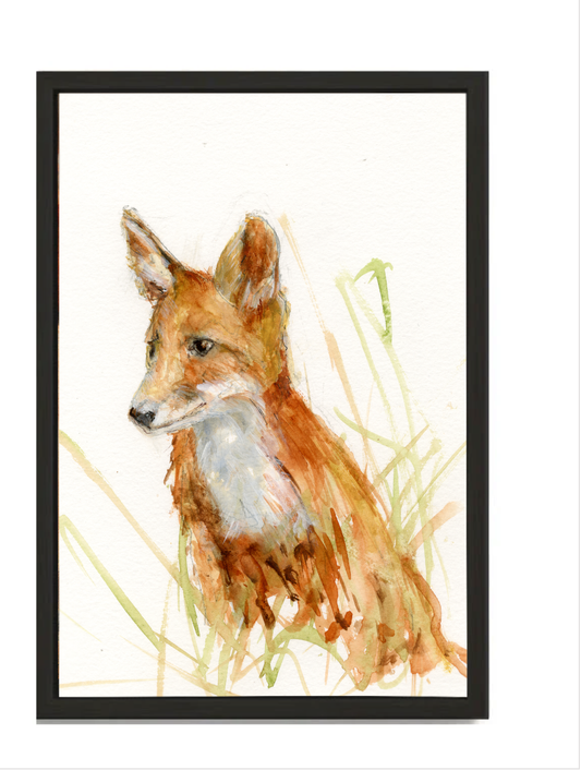 Limited Edition Framed Canvas Wall Art Oliver the Fox image 0