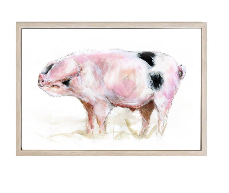 Limited Edition Canvas Print Freddy the Gloucester Old Spot Pig image 1
