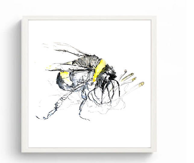 Limited Edition Square Canvas Print Bertie the Bumble Bee image 3
