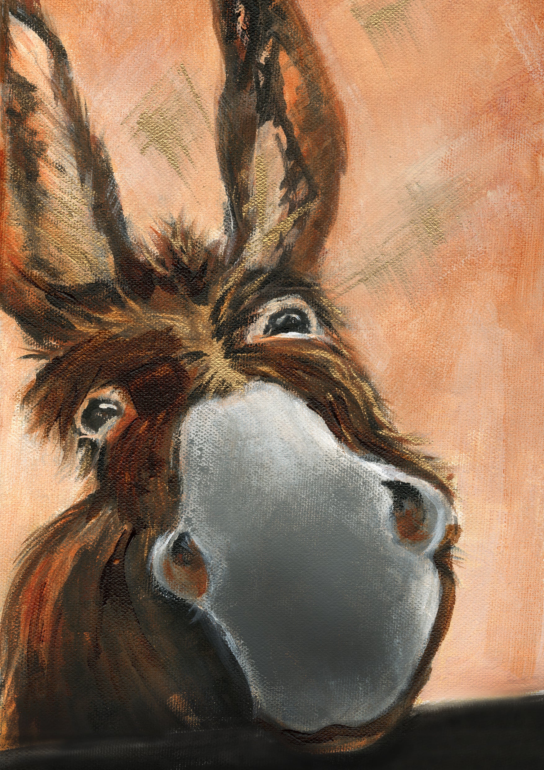 Framed Print Derek the Donkey image 1