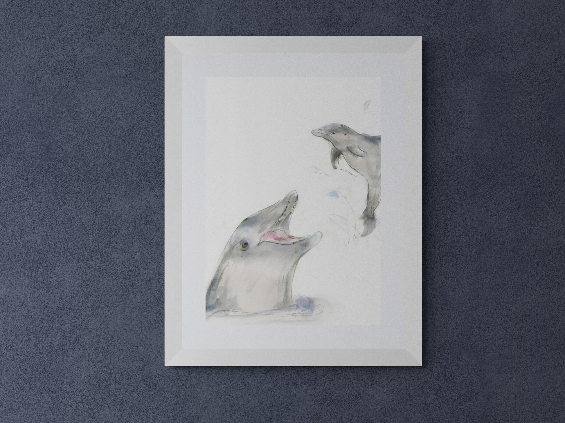Framed Print  Fin and Flipper the Dolphins image 6