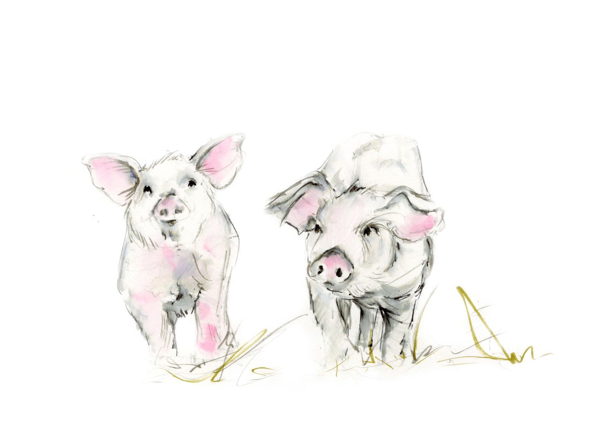 Framed Print Mateo and Sofía the Pigs image 1