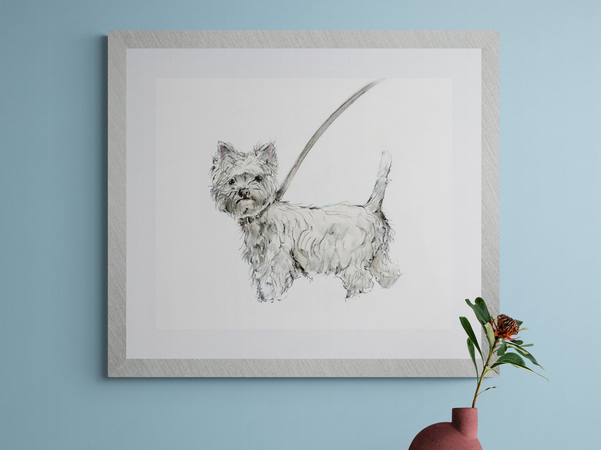Framed Print of Norman the Westland Terrier image 0