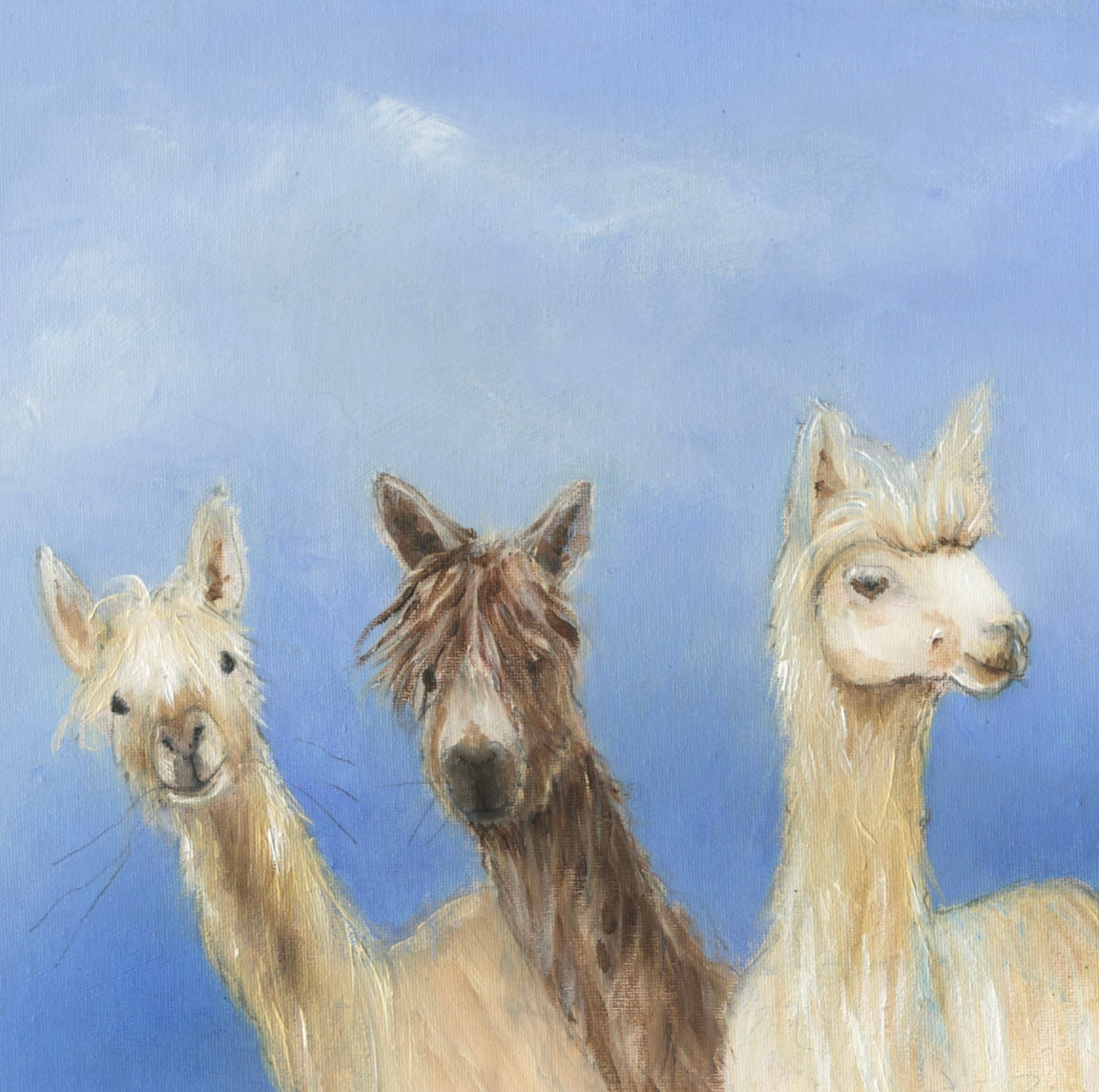 Greeting Card 3 Alpacas Porthos, Ethos and Aramis image 0