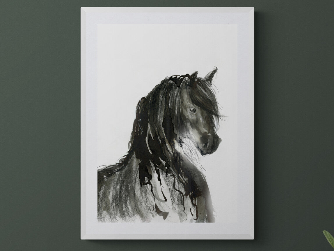 Framed Print Nero the Friesian Horse image 3