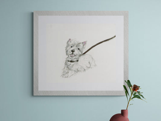 Framed Print of Miss Patsy the Westland Terrier image 0