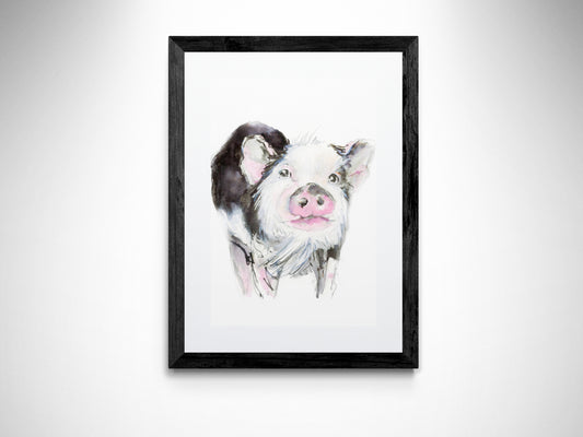 Framed Print Athena the Pig image 0