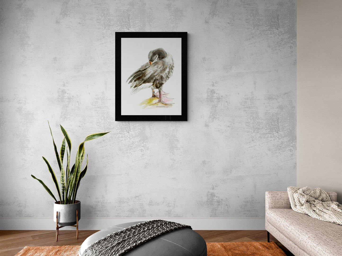 Framed Print Jason the Duck image 0