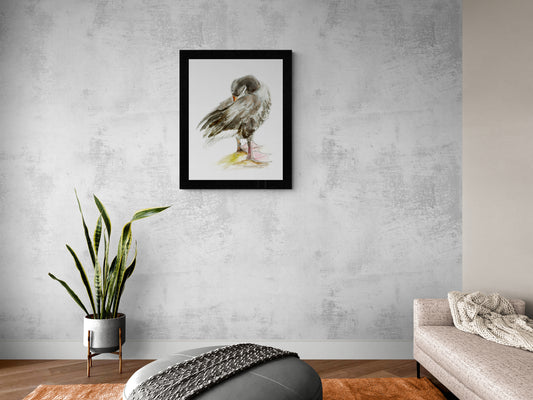 Framed Print Jason the Duck image 0