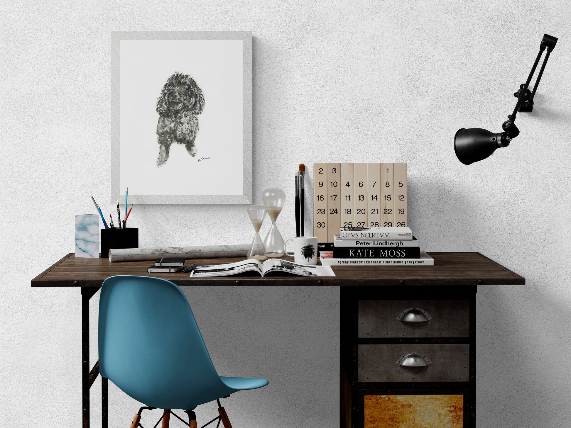 Framed Print of Daisy the Cookapoo image 2