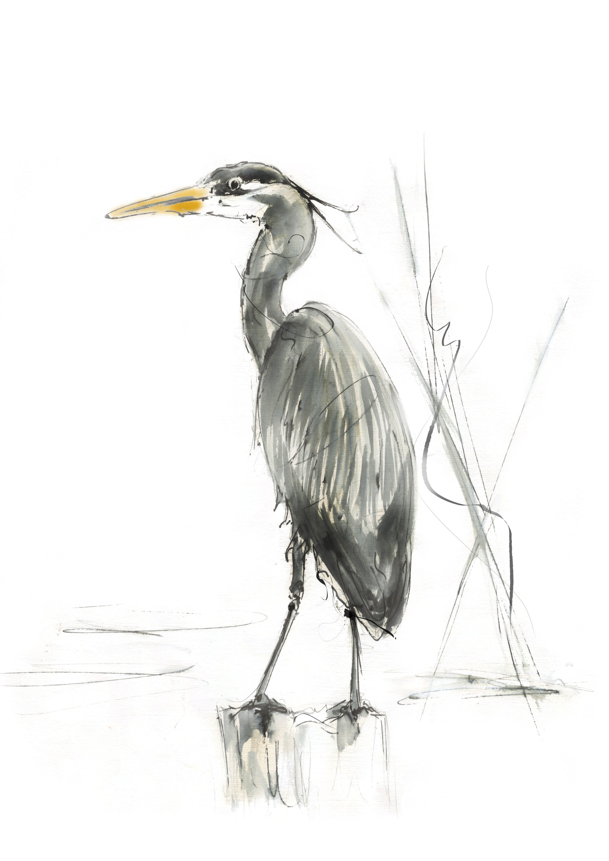 Grey Heron Framed Print - Museum Quality, Ready-to-Hang Frame image 1