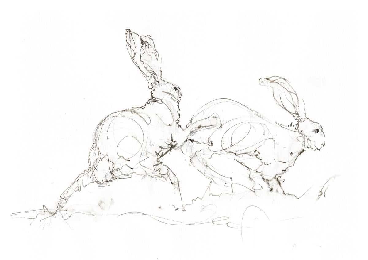 Hares Together – Hare Fine Art Print