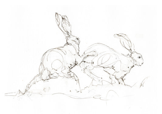 Hares Together – Hare Fine Art Print